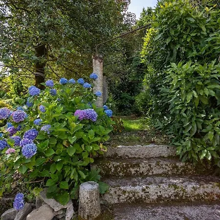 Villa Orta Retreat